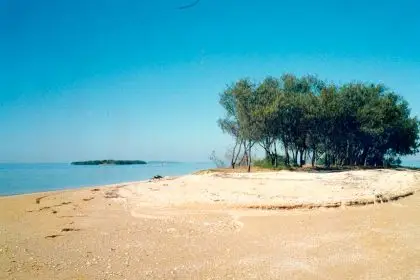 FORMER BURIAL SITE: A view of Bird Island in 1992. Photo: Peter Ludlow