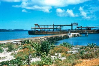 SNAPSHOT IN TIME: Platypus I at the Peel Island stone jetty c1955. Photo: Dr Morgan Gabriel