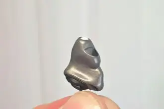 PROFESSIONAL ADVICE: Penelope Woods looks at the pros and cons of “invisible” hearing aids.