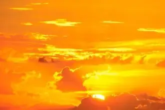 I’m orange on the inside