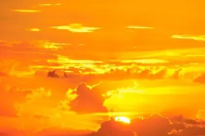 I’m orange on the inside