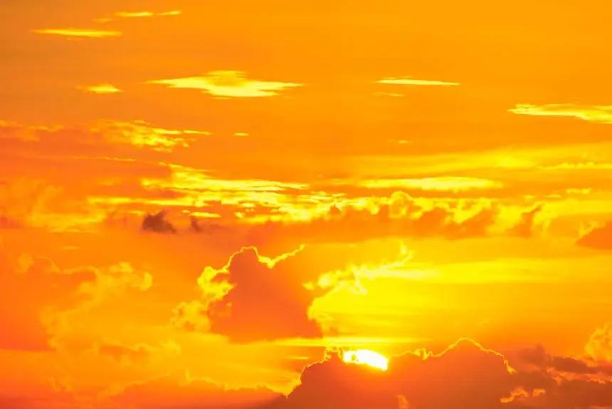 I’m orange on the inside