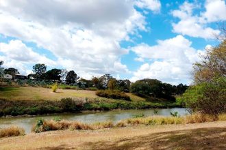 NEW HOME: Anita Lazic has found solace in her new surrounds after moving homes from North Stradbroke Island to Ipswich. Photo: Anita Lazic
