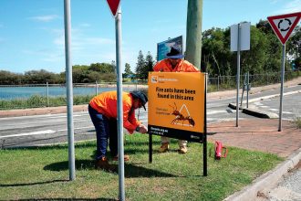 ON ALERT: Crews install fire ant signage on North Stradbroke Island. Photo: National Fire Ant Eradication program