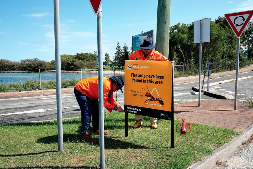 ON ALERT: Crews install fire ant signage on North Stradbroke Island. Photo: National Fire Ant Eradication program