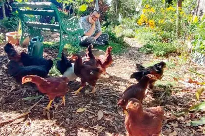 AMONG THE GREENERY: ROGI president Bevan Saul enjoys his organic garden at Birkdale.