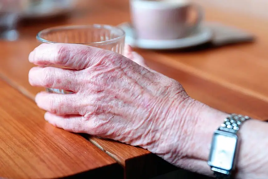 CONCERN: Power of attorney can pave the way for financial abuse of the elderly in unscrupulous hands. Photo: Jane Dempster/AAP Image