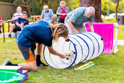 Moving towards health