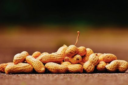 The tricks to growing peanuts