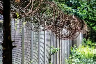 Movie proves a great grower