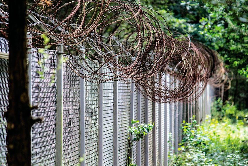 Movie proves a great grower