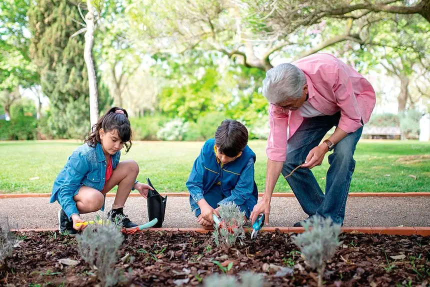 Get kids involved in growing