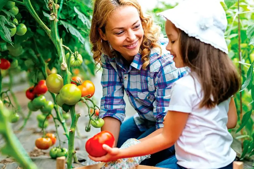 The joys of working in a community garden