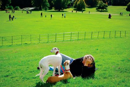 Pet ownership offers a wealth of social benefits