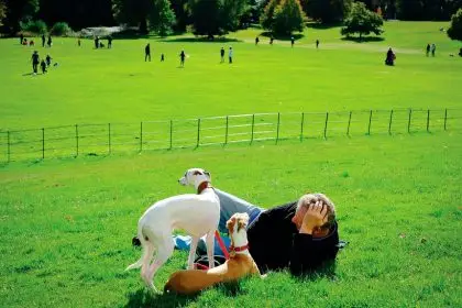 Pet ownership offers a wealth of social benefits