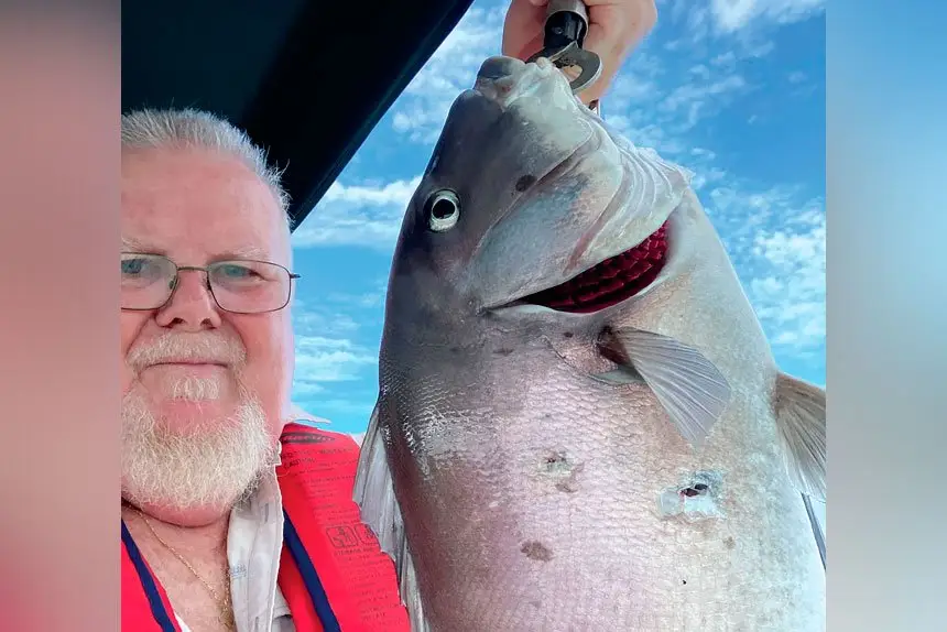 KC caught and released the morwong.