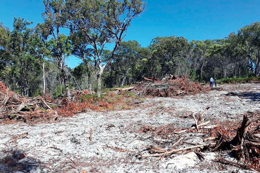 Illegal clearing is a serious environmental offense.