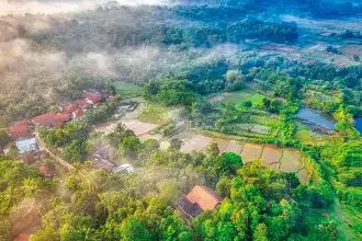 Regional areas maintained the highest rate of vacancy.