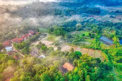 Regional areas maintained the highest rate of vacancy.