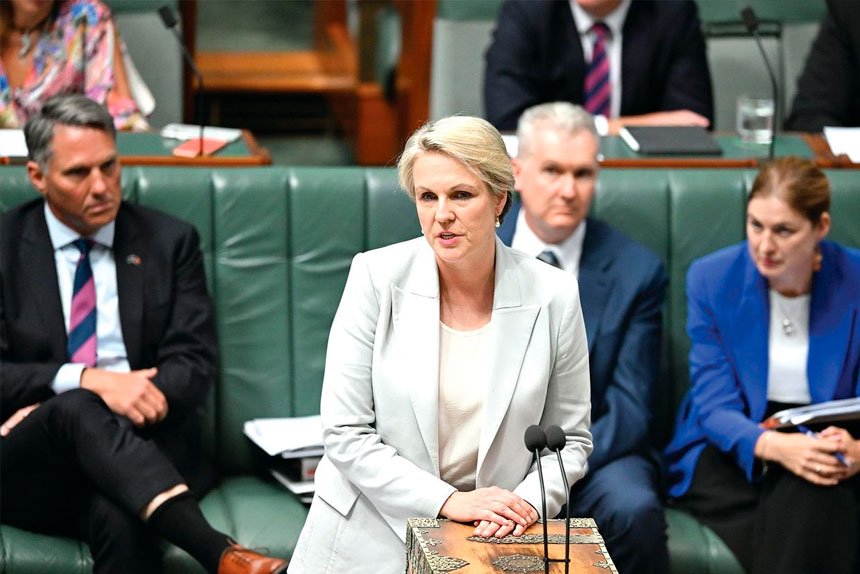 Environment Minister Tanya Plibersek has made a draft decision to reject development.