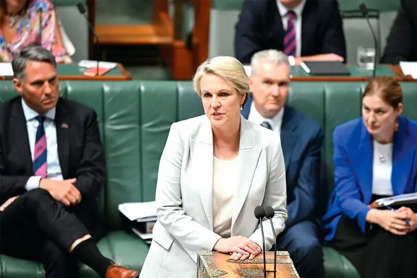 Environment Minister Tanya Plibersek has made a draft decision to reject development.