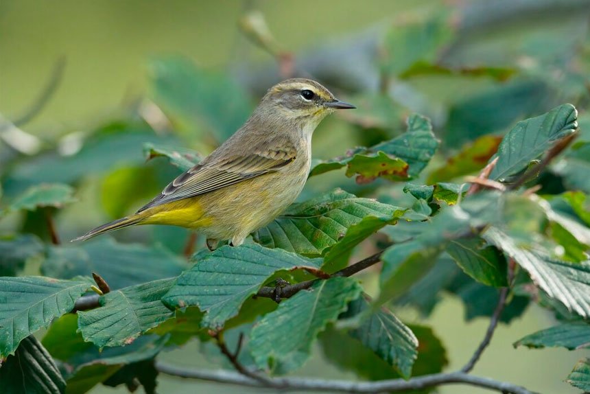 Always look after your helpful friends