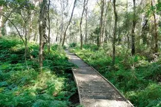 Demolition of Dan Street Boardwalk begins. PHOTOS: Ngareta Cassidy