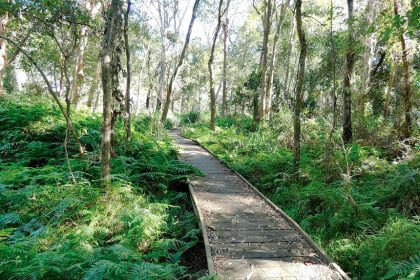 Demolition of Dan Street Boardwalk begins. PHOTOS: Ngareta Cassidy