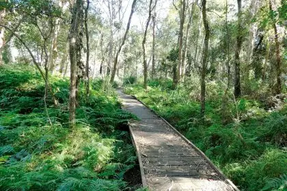 Demolition of Dan Street Boardwalk begins. PHOTOS: Ngareta Cassidy