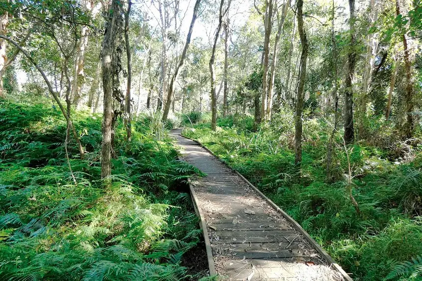 Demolition of Dan Street Boardwalk begins. PHOTOS: Ngareta Cassidy
