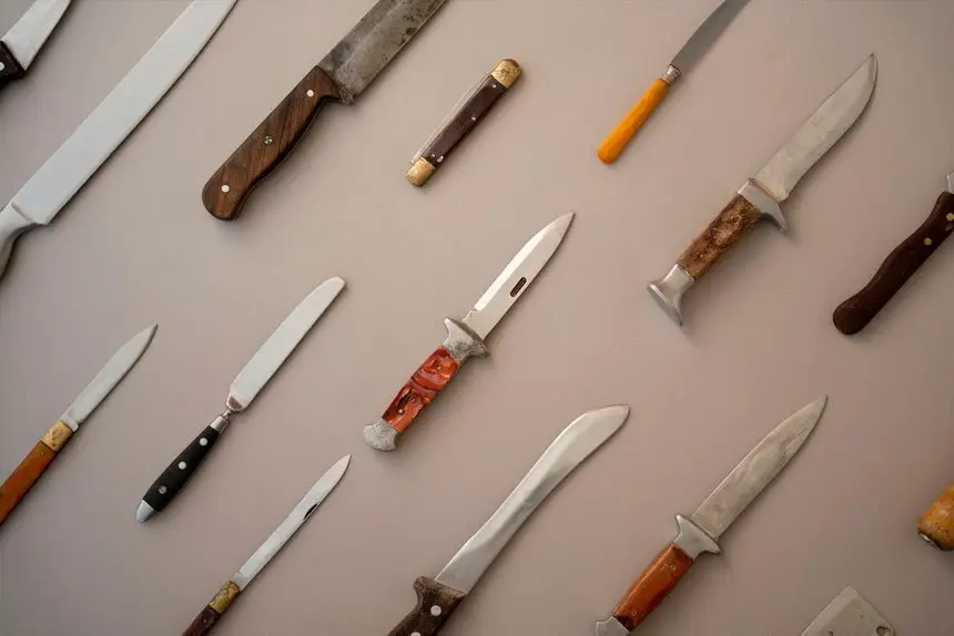 QPS campaign aims to promote crackdown on illegal knife sales