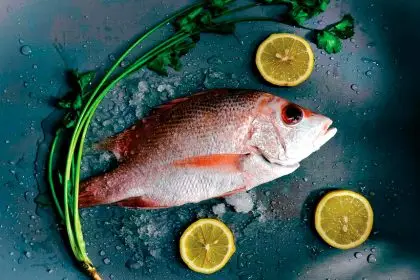 SNAPPER: Makes for a good table fish.