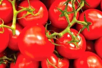 Tomatoes come in all shapes and sizes.