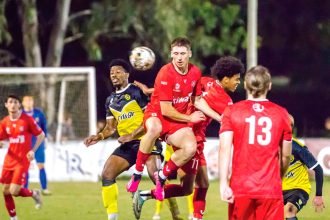 The Red Devils fought hard but went down 5-2 to the Wynnum Wolves.