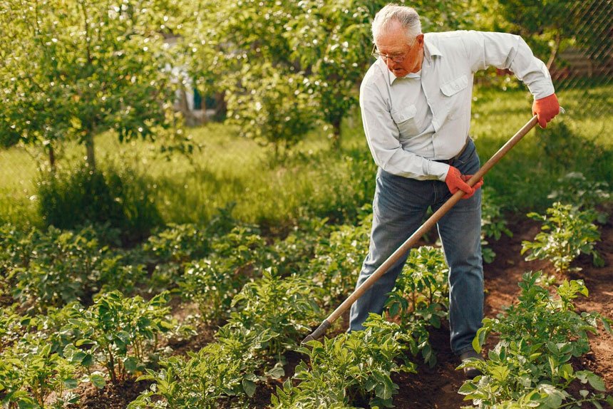 Cutting back your jobs as aging takes its toll