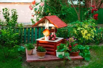 A beautiful cottage garden will add endless colour to brighten your life