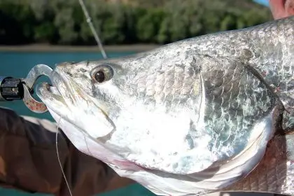 Be aware of fishing restrictions currently in place.