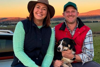 Muster Dogs: where are they now?