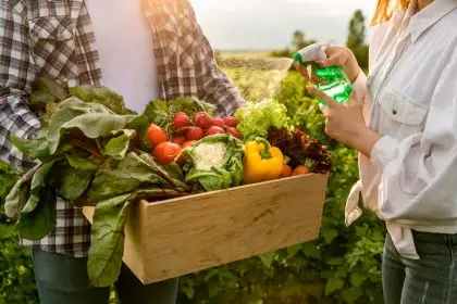 Notice how the organic garden grow slush with a good lot of natural rainfall