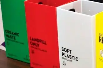 EASY WINS: Start with recycling cardboard, paper, glass, aluminum, and plastic.