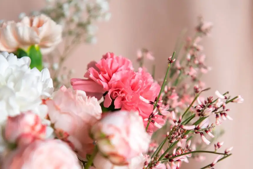 Flower power has its origins all the way back in ancient Egypt