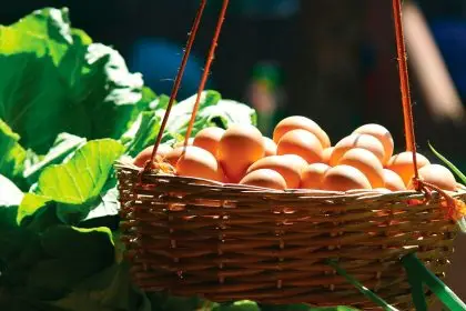 CRACKING DEBATE: Are eggs good or bad for you?