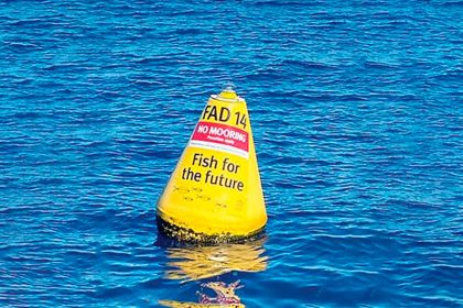 FADs...a popular fishing choice.