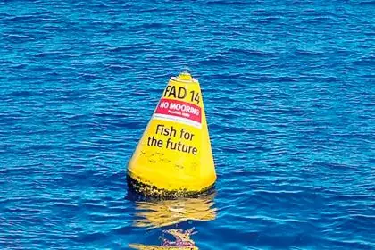 FADs...a popular fishing choice.