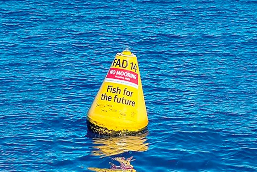 FADs...a popular fishing choice.