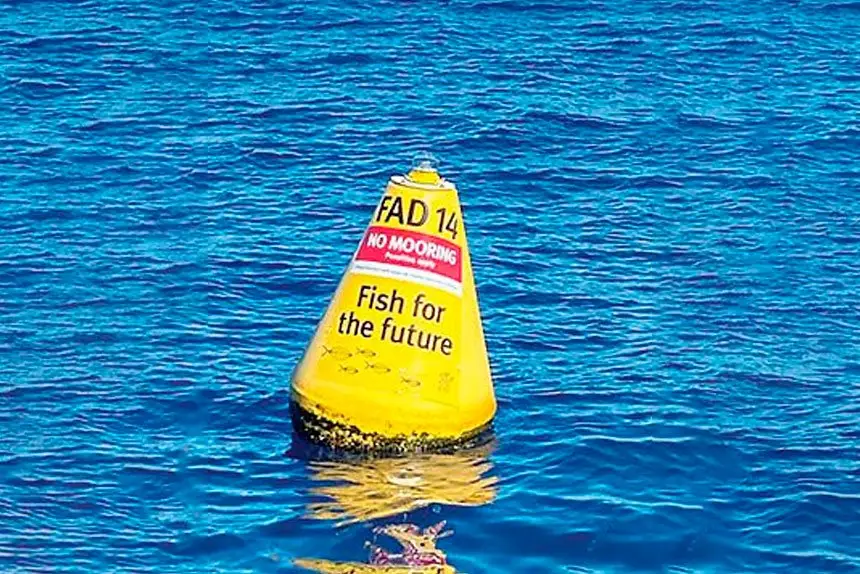 FADs...a popular fishing choice.