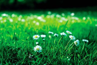 There are so many variables when it comes to helping a plant to flourish.