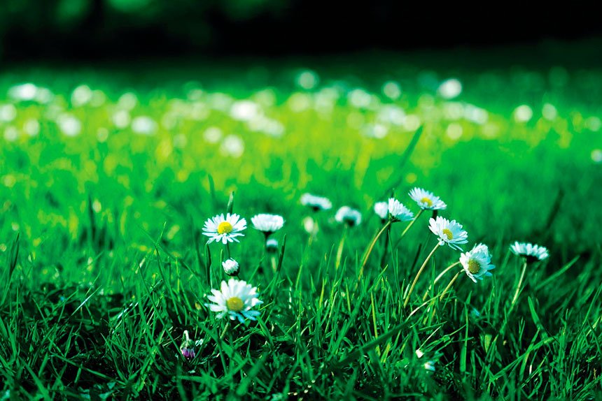 There are so many variables when it comes to helping a plant to flourish.