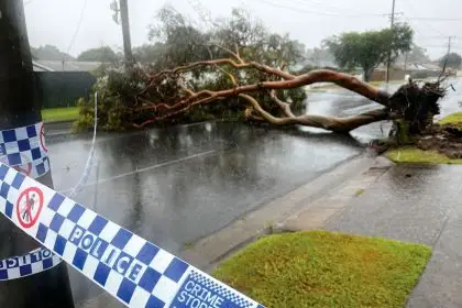 COSTLY CLEAN-UP: There are fears that insurance companies will hike premiums.