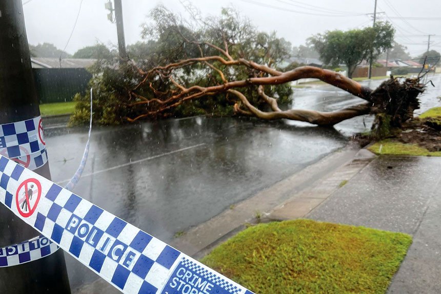 COSTLY CLEAN-UP: There are fears that insurance companies will hike premiums.